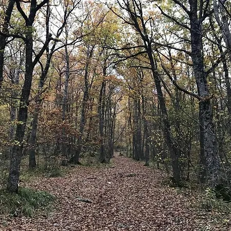 Rifugio Del Gran Sasso Assergi