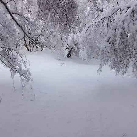 Rifugio Del Gran Sasso