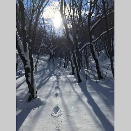 Rifugio Del Gran Sasso Apartamento Assergi