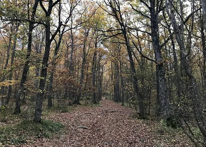 Rifugio Del Gran Sasso Assergi