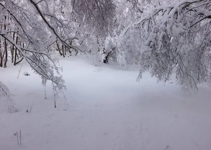 Rifugio Del Gran Sasso